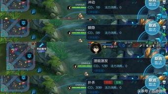 神农技能爆料最新更新,探寻农业领域的智慧革命