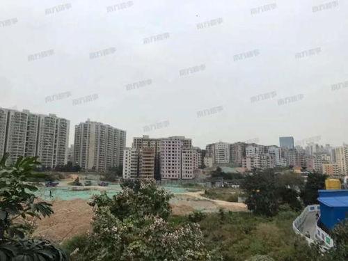 深圳布吉最新爆料,揭秘社区新动态与民生焦点 第3张 深圳布吉最新爆料,揭秘社区新动态与民生焦点 第3张