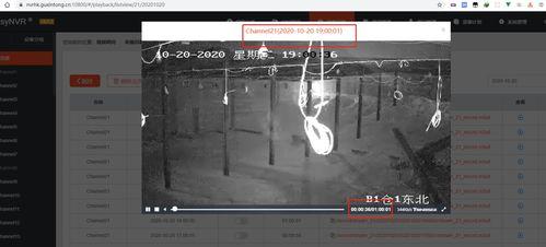 黑天鹅内鬼爆料视频播放,揭秘神秘内鬼爆料视频背后的真相